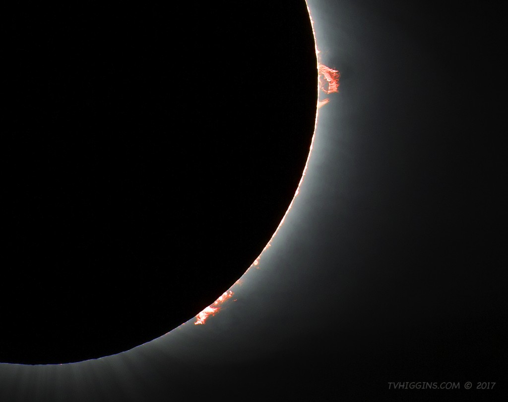 Solar Prominences of Eclipse 2017