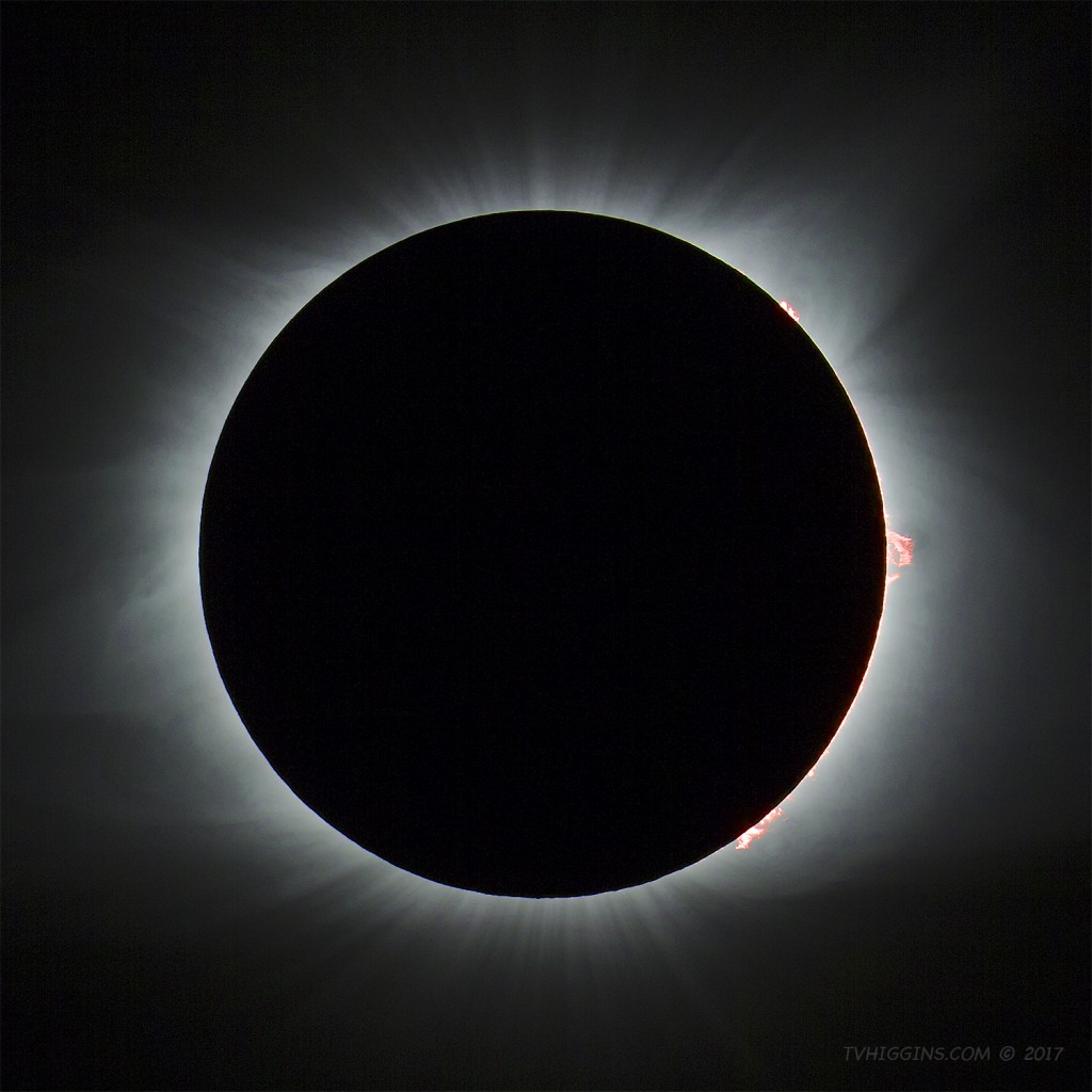 2017 Solar Eclipse: Prominences II